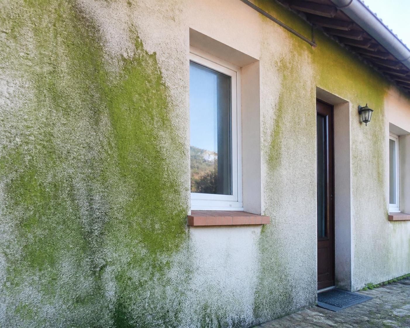 découvrez des méthodes efficaces pour enlever la mousse sur votre façade et préserver l'apparence de votre maison avec nos conseils pratiques.